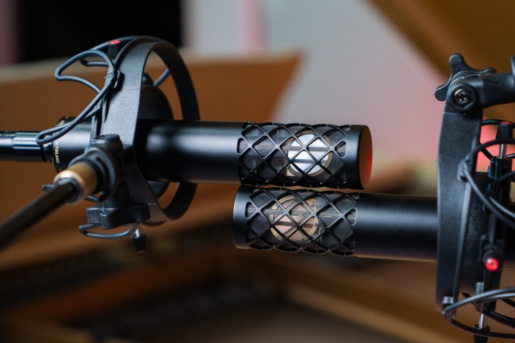Nordic Audio Labs NU-24K Large Diaphragm Condenser Microphone