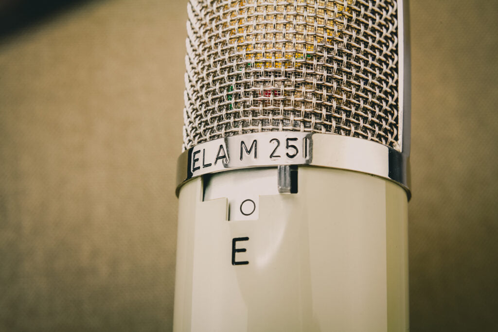 BeesNeez BN251 Multipattern Tube Condenser Microphone – Vintage King
