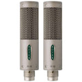 Royer Labs R-10 Ribbon Microphone - Matched Pair