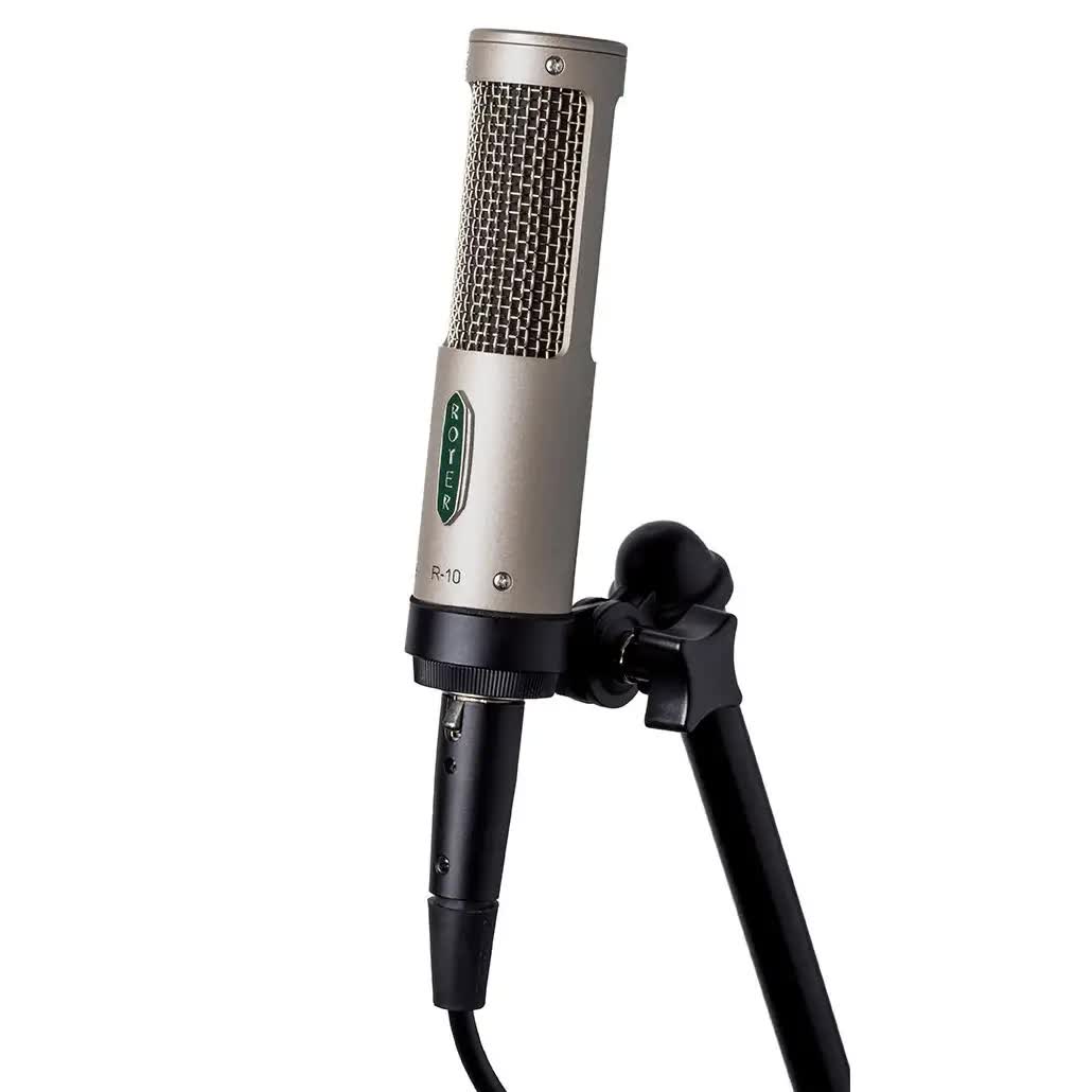 Royer Labs R-10 Ribbon Microphone - Matched Pair