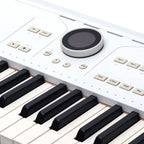 Arturia AstroLab 61-Note Semi-Weighted Keyboard (Demo Deal)