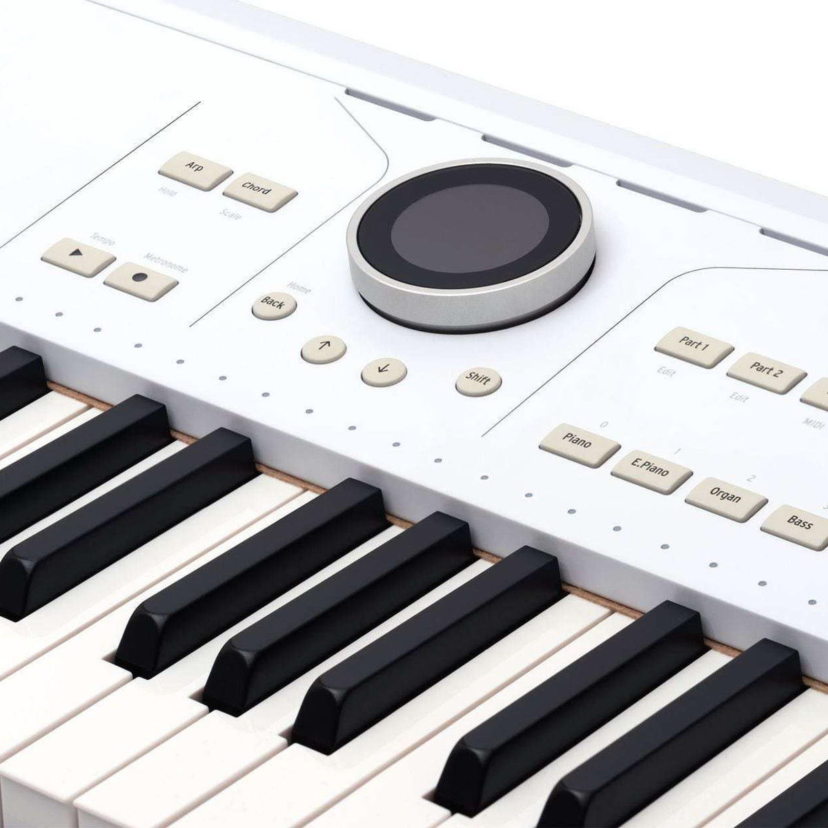 Arturia AstroLab 61-Note Semi-Weighted Keyboard (Demo Deal)