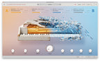 Arturia V Collection 11 Intro Software Instrument Bundle - Electronic Delivery
