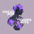 Audiomodern Vocal Pop Vocal Chops and Kits Expansion for Loopmix - Electronic Delivery
