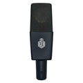 Beesneez BC12A Tube Condenser Microphone