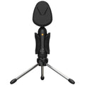 Behringer BV4038 Vintage Waffle Iron USB Microphone