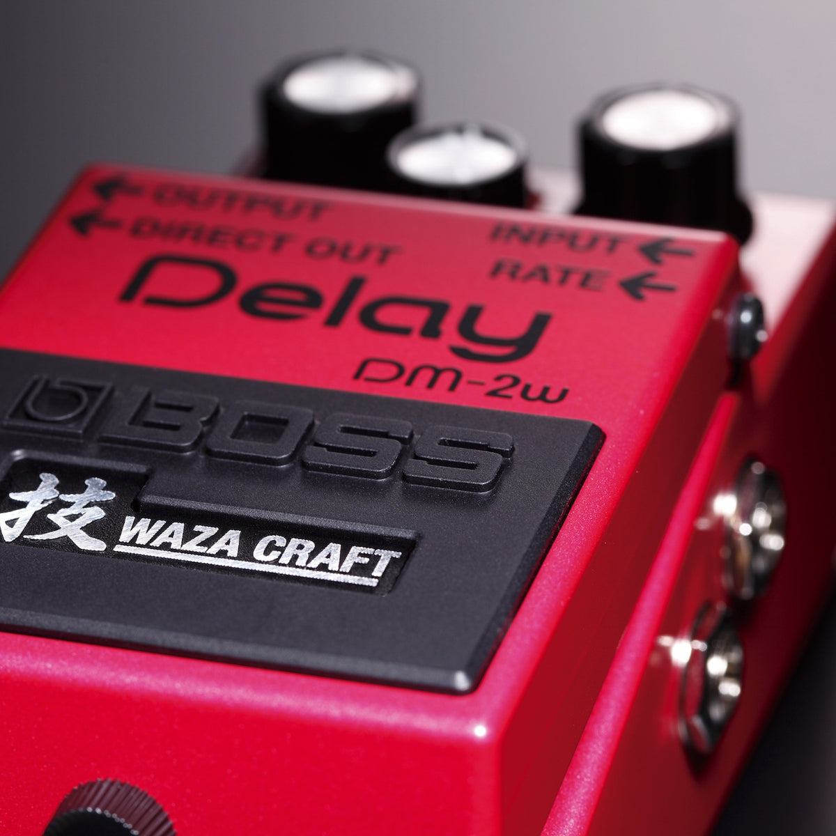Boss DM-2W Analog Delay Waza Craft Pedal