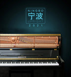 Boz Digital Ningbo Upright 2021 Lite Piano Virtual Instrument - Electronic Delivery