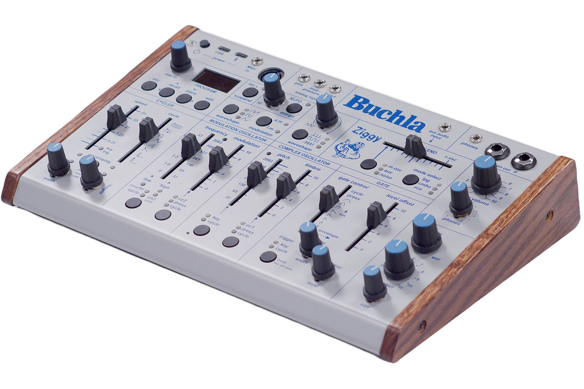 Buchla Ziggy Analog Desktop Synthesizer