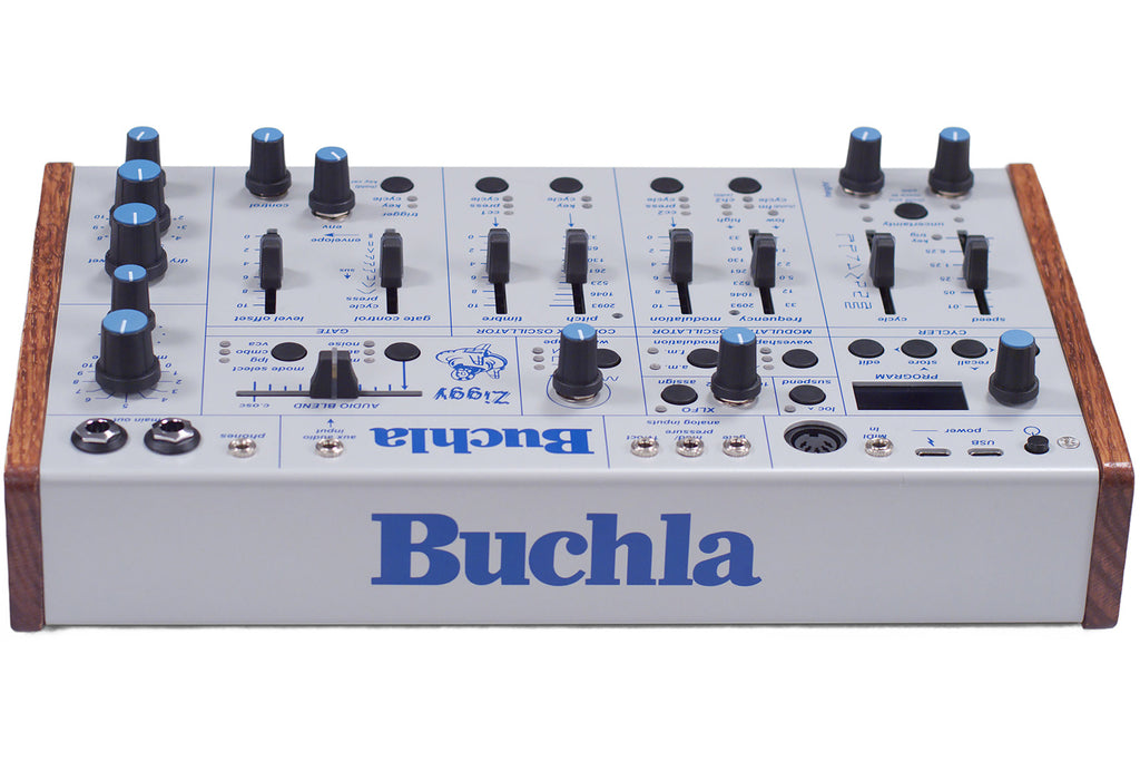 Buchla Ziggy Analog Desktop Synthesizer
