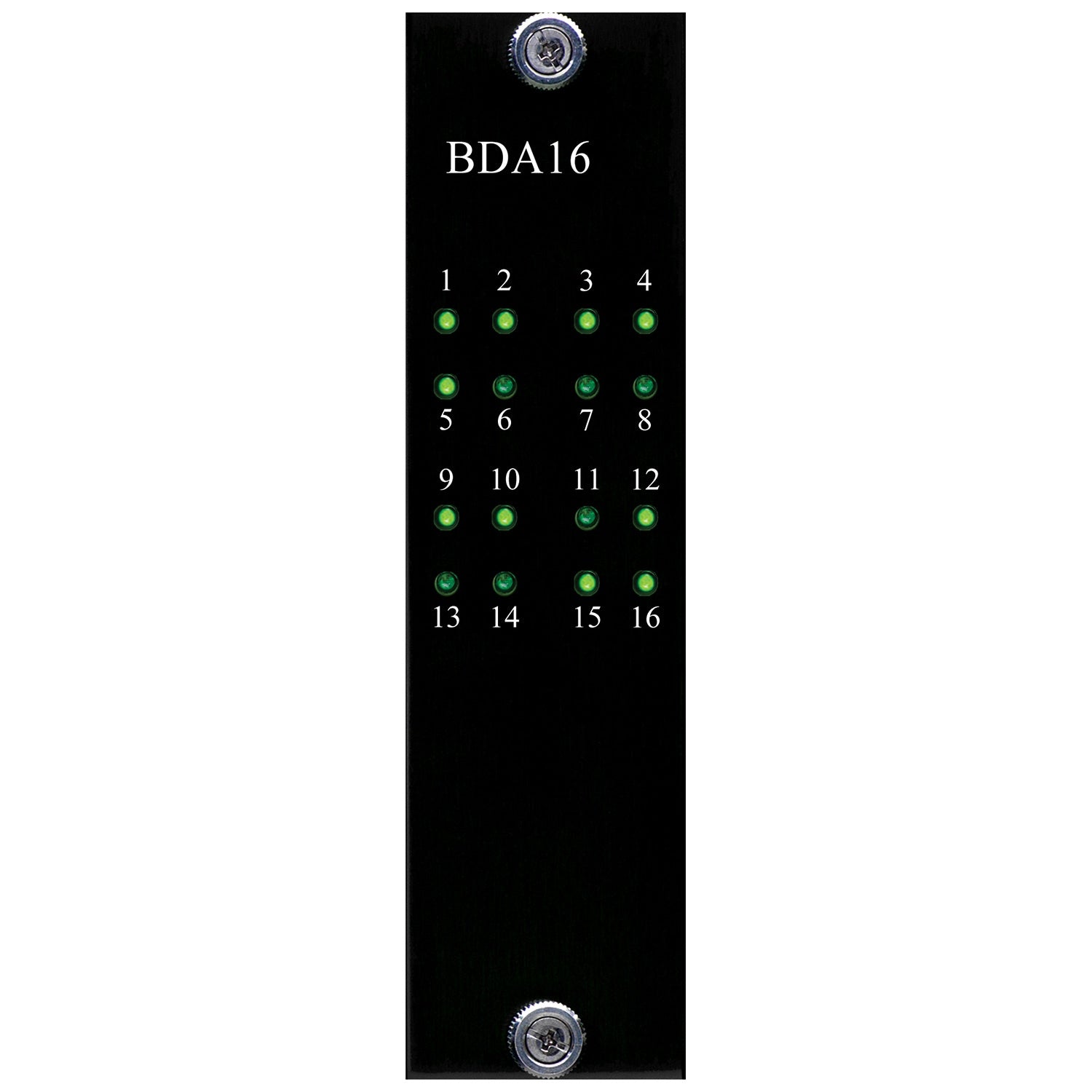 BURL Audio BDA16 16-Channel DAC Daughter Card for B80 MOTHERSHIP 3 ...