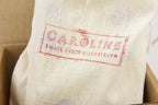 Caroline Guitar Company Meteore Sports Reverb - VK Edition