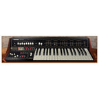 Cherry Audio Pro Soloist Synthesizer - Electronic Delivery