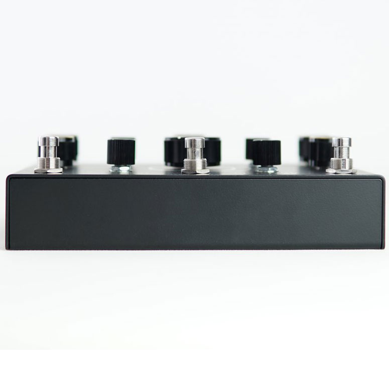 Collision Devices Black Hole Symmetry Reverb/Delay/Fuzz Pedal