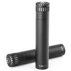 DPA 2012 Compact Cardioid Condenser Microphone - Matched Stereo Pair
