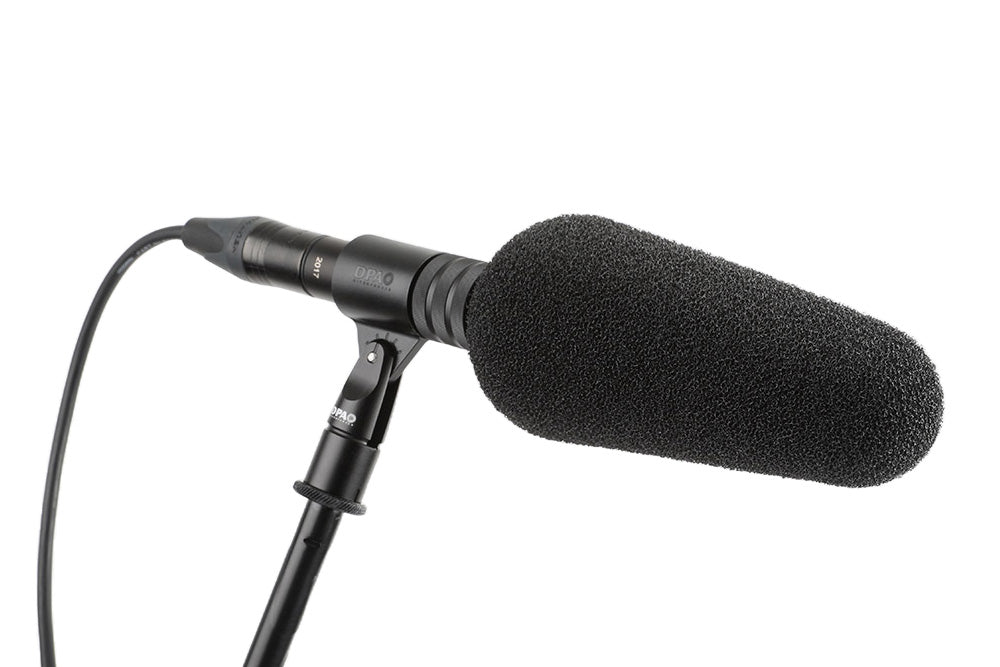 DPA 2017 Shotgun Microphone