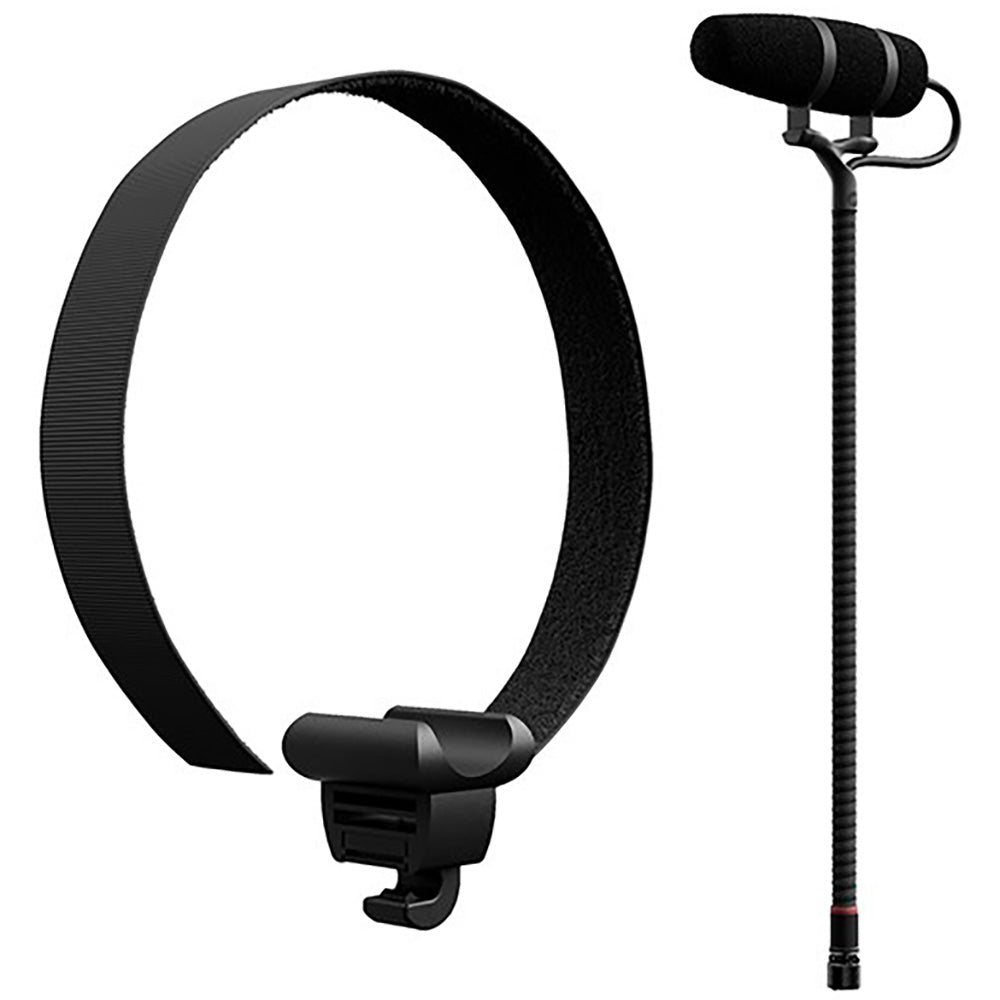 DPA 4099 CORE+ Instrument Microphone for Loud SPL with Universal Mount