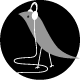 Grace Design