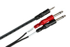 Hosa CMP-159 3.5mm TRS to Dual 1/4" TS Stereo Breakout Y Cable - 10' (Demo Deal)