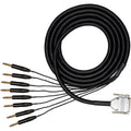 Hosa EDGE DB25 to 1/4" TRS Cable Snake - 1m