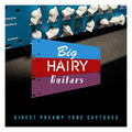 IK Multimedia Big Hairy Guitars BOGGY Bogner Fish Preamp Collection - Electronic Delivery