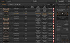 IK Multimedia TONEX SE Amp/Cab/Pedal Modeling Software - Elec Del