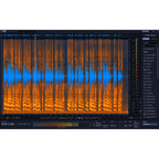 iZotope RX 12 Advanced Upgrade from RX 11 Advanced - Electronic Delivery