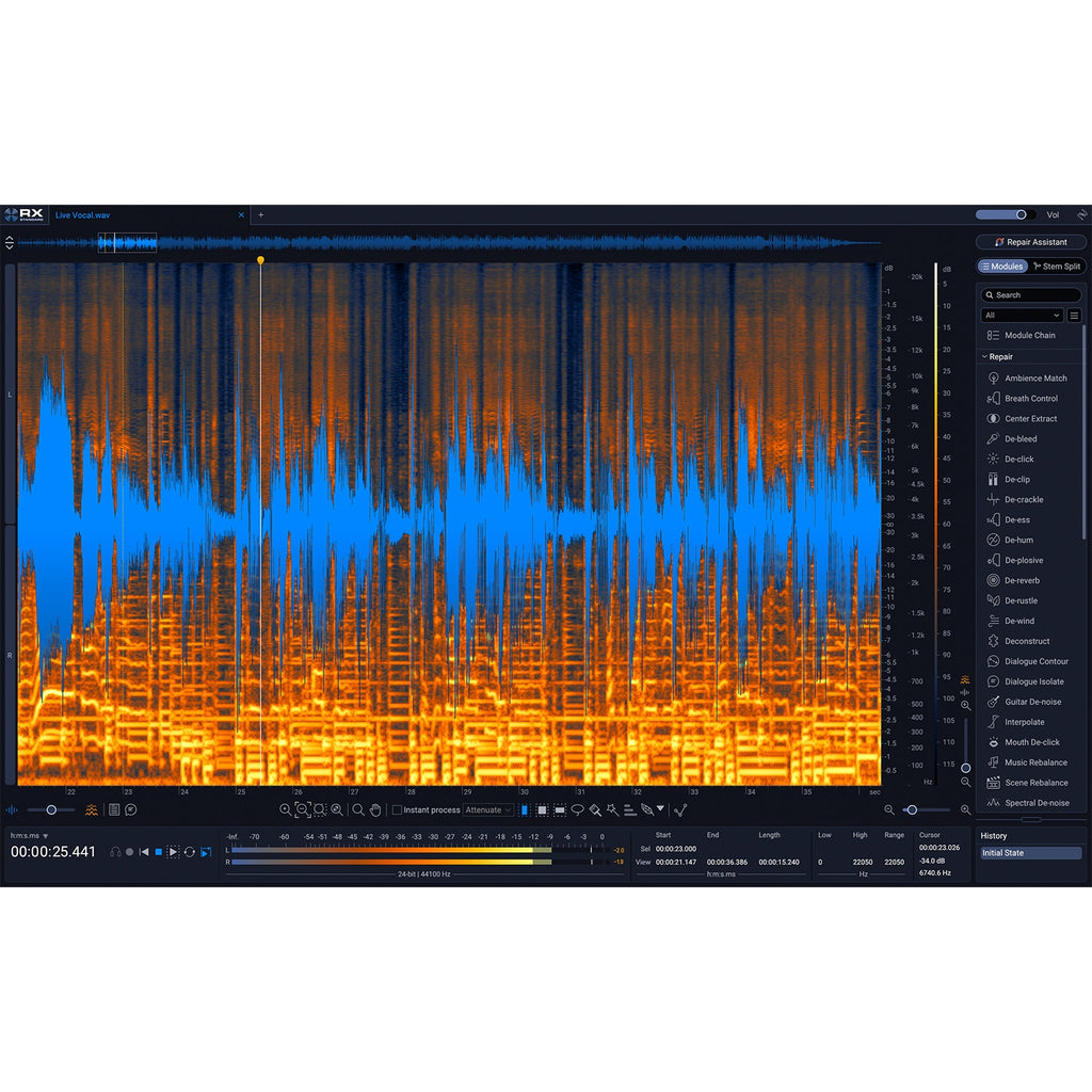 iZotope RX 12 Standard Audio Repair Tool - Electronic Delivery