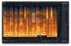 iZotope RX 10 Advanced Audio Repair Tool - Electronic Delivery