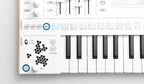 Kiviak Instruments WoFI Cloud-Connected Sampler Synthesizer