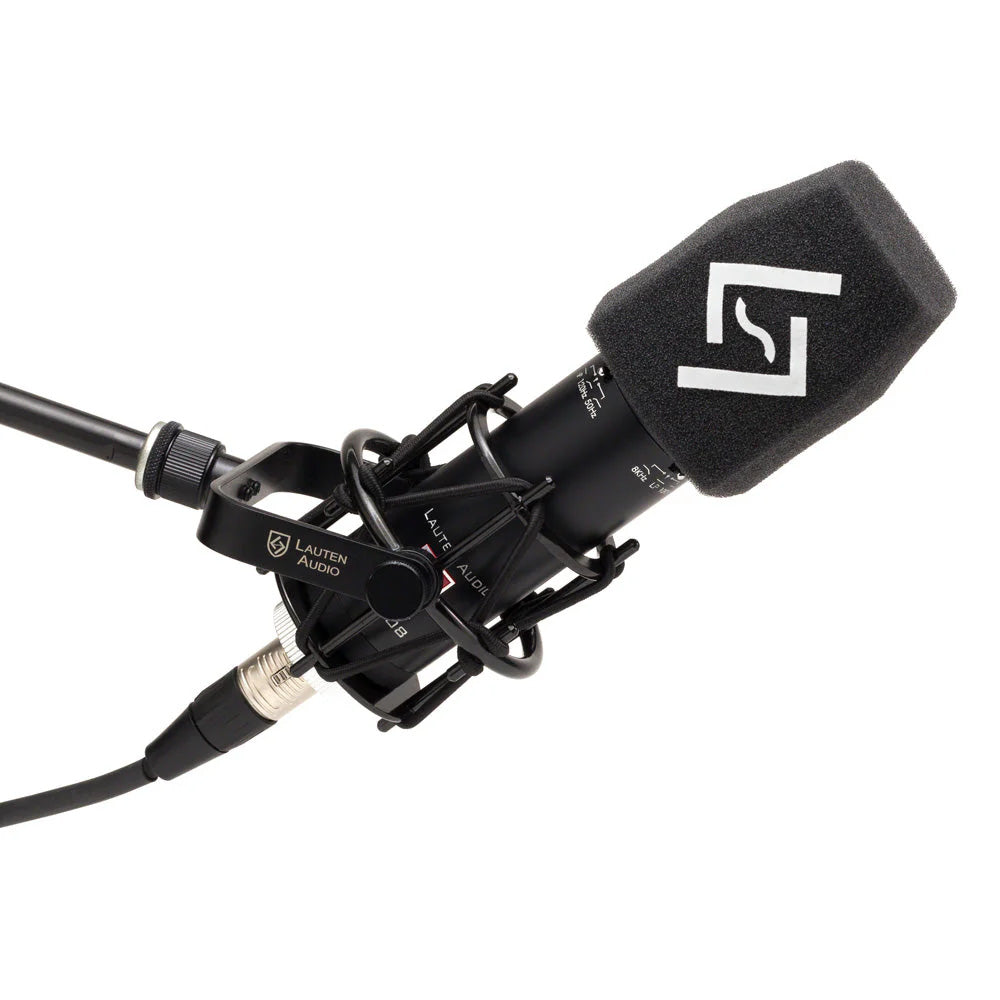 Lauten Audio LS-208 Schulze-Brakel Windscreen