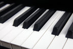 Mellotron M4000D 37-Note Digital Mellotron-Style Keyboard - Black