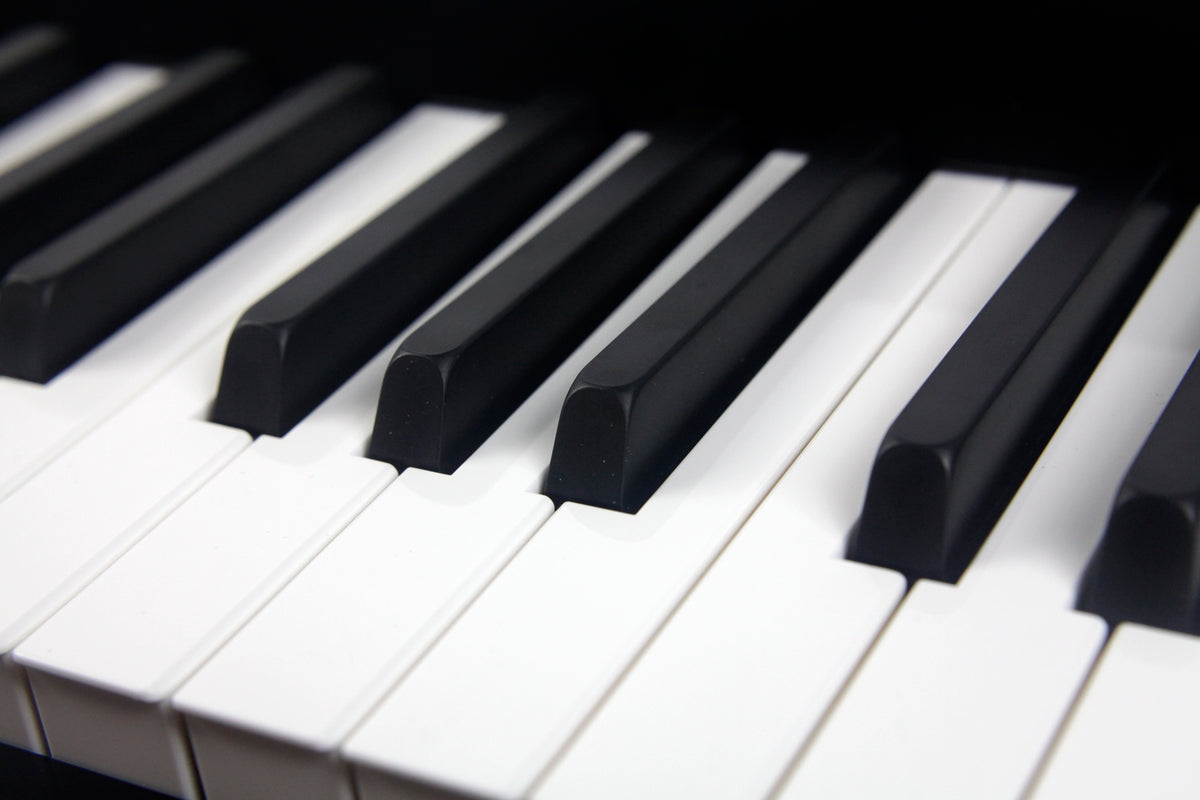 Mellotron M4000D 37-Note Digital Mellotron-Style Keyboard - Black
