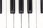 Mellotron M4000D Micro Ultra-Compact Digital Mellotron-Style Keyboard - White