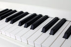 Mellotron M4000D 37-Note Digital Mellotron-Style Keyboard - White