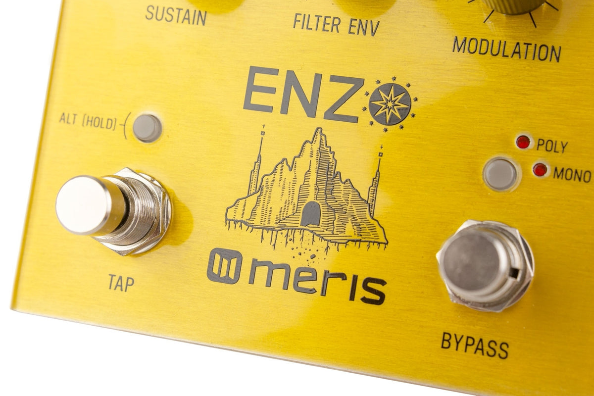 Meris Enzo Multi-Voice Synthesizer Pedal