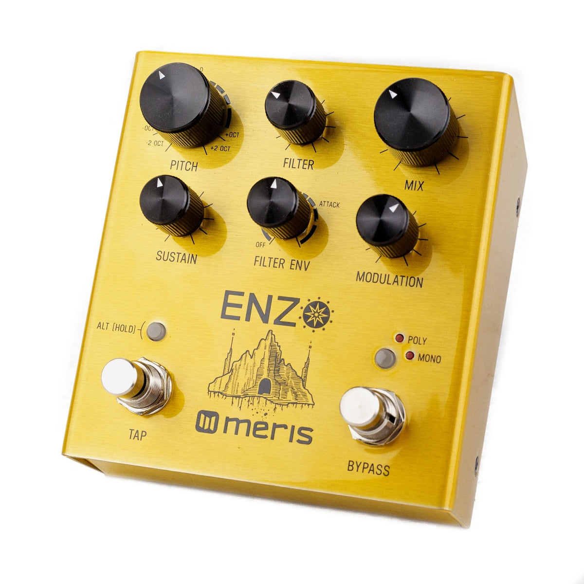 Meris Enzo Multi-Voice Synthesizer Pedal