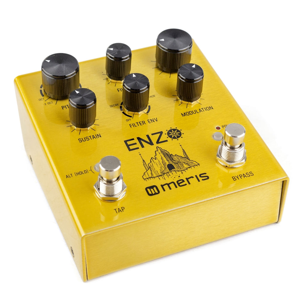 Meris Enzo Multi-Voice Synthesizer Pedal