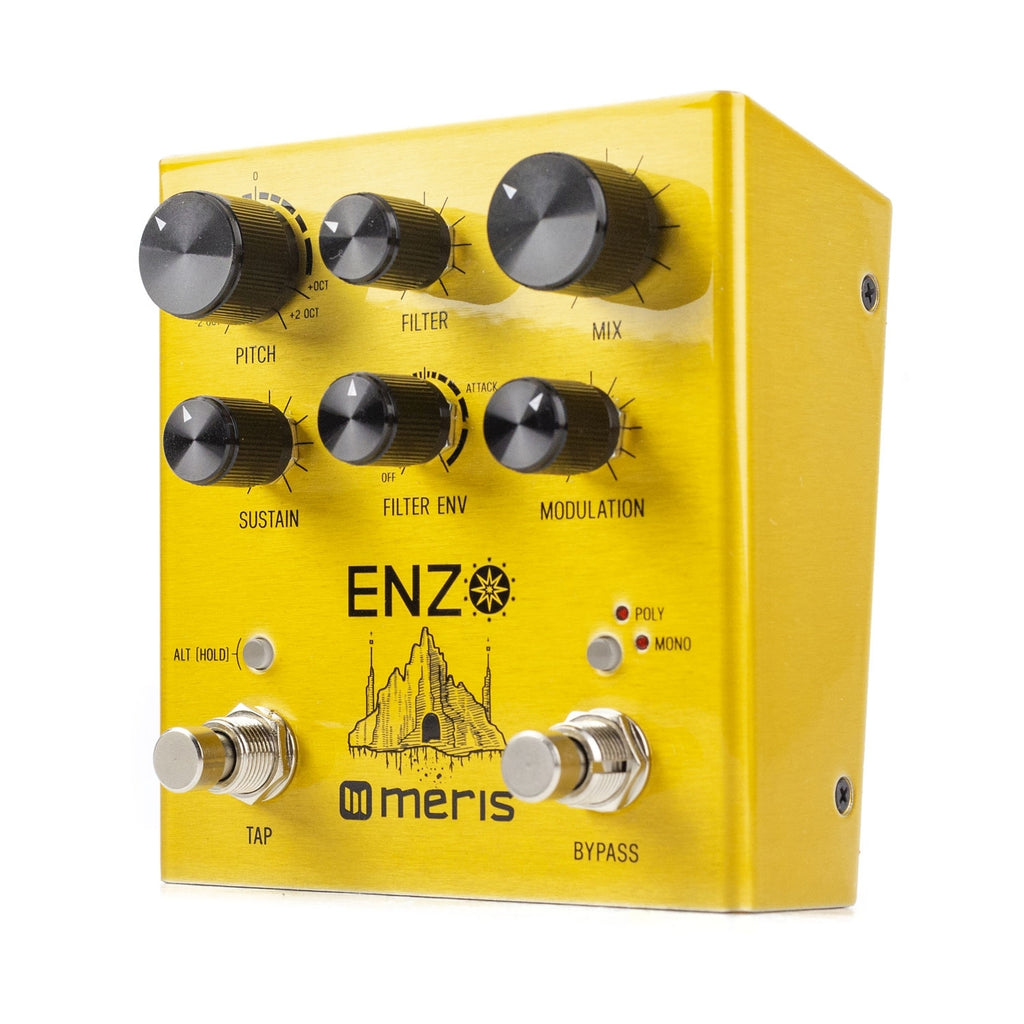 Meris Enzo Multi-Voice Synthesizer Pedal