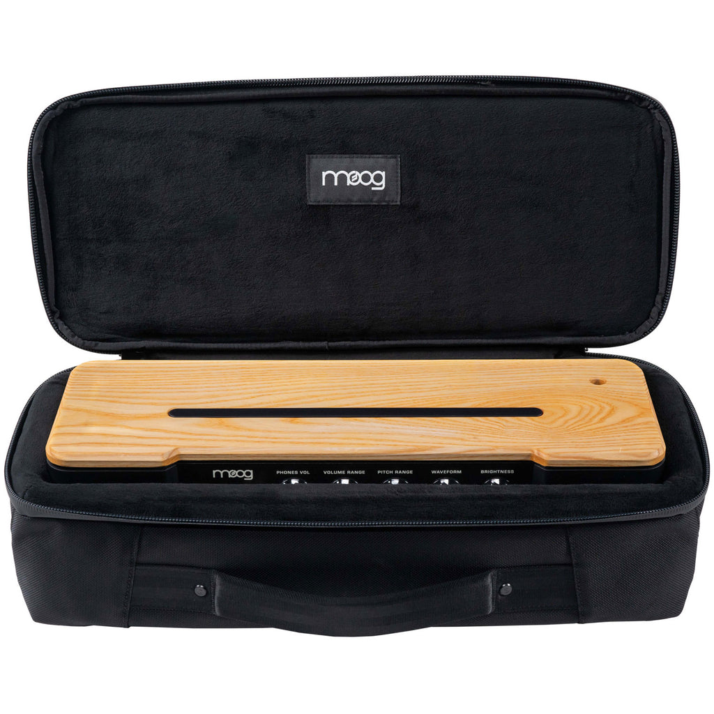Moog SR Series Etherwave Case
