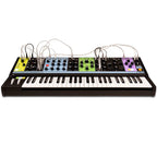 Moog Matriarch Semi-Modular Analog Synthesizer and Step Sequencer