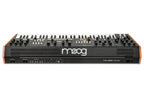 Moog Music Muse 8-Voice Analog Bi-Timbral Polyphonic Synthesizer