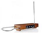 Moog Music Etherwave Theremin Standard - Ash