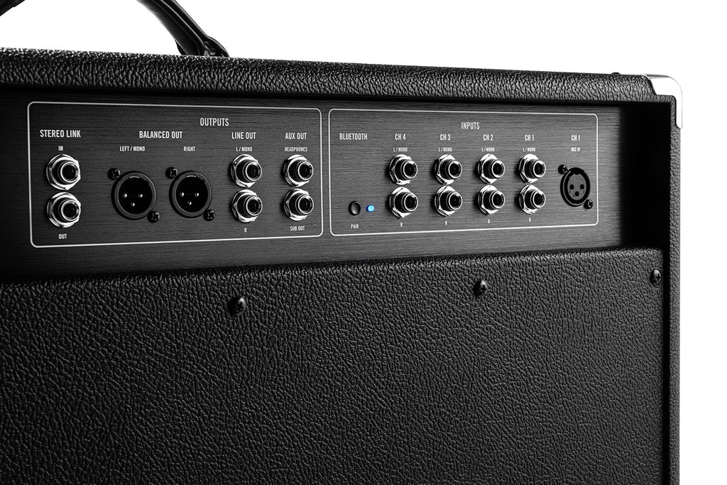 Moog Music Model 210 2x10" 4-Channel Instrument Amplifier