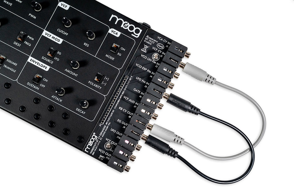 Moog Werkstatt-01 Analog Synthesizer Kit with CV Expander