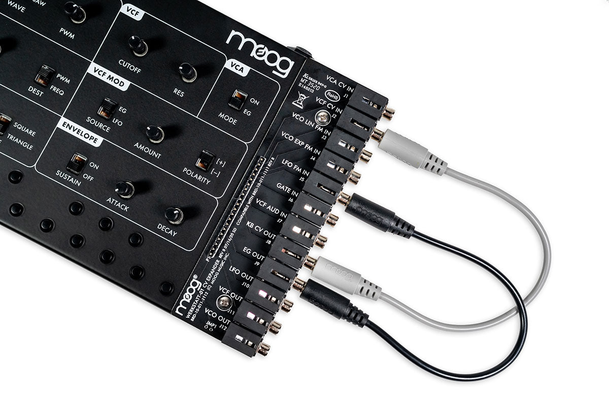 Moog Werkstatt-01 Analog Synthesizer Kit with CV Expander