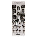 Noise Engineering Basimilus Iteritas Alter - Silver