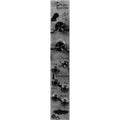 Noise Engineering Sinc Bucina - Silver