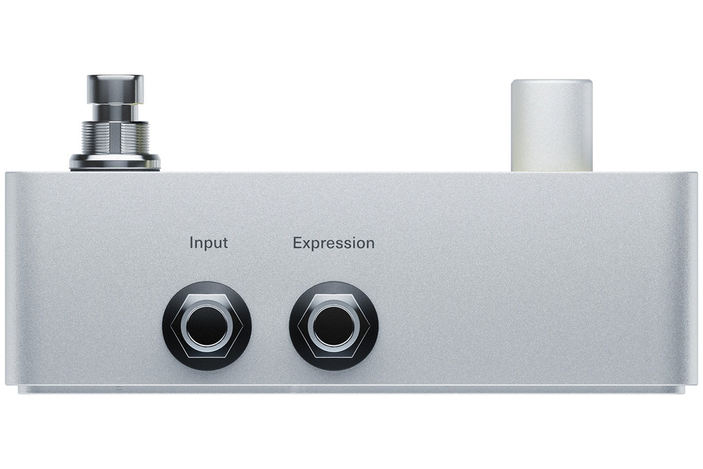 Polyend Endless User-Defined Multi-Effect Pedal (Demo Deal)