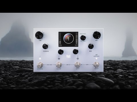 Meris LVX Modular Delay System Pedal (Demo Deal)